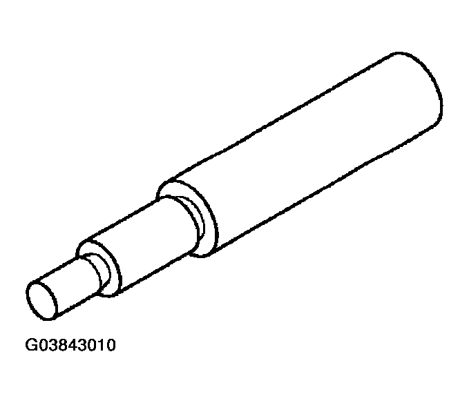 G03843010