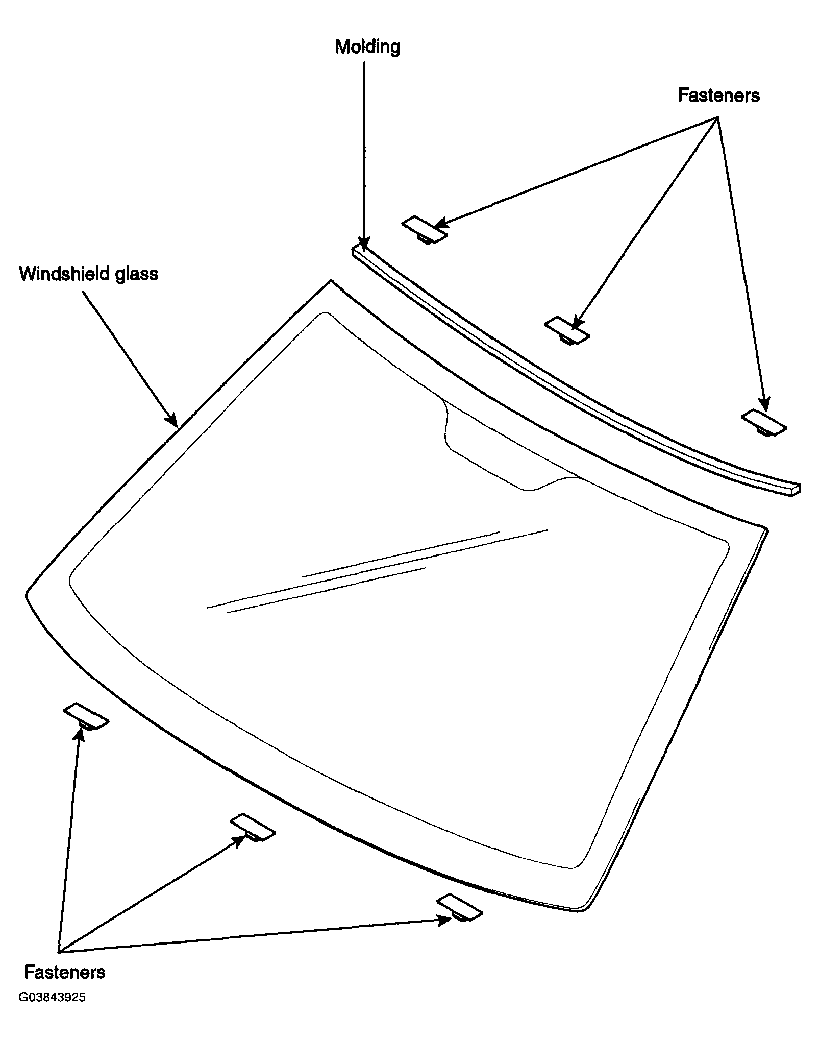 G03843925