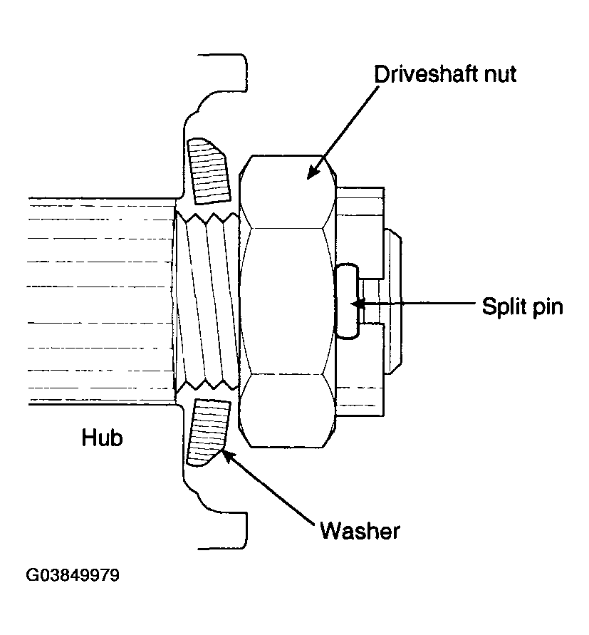 G03849979