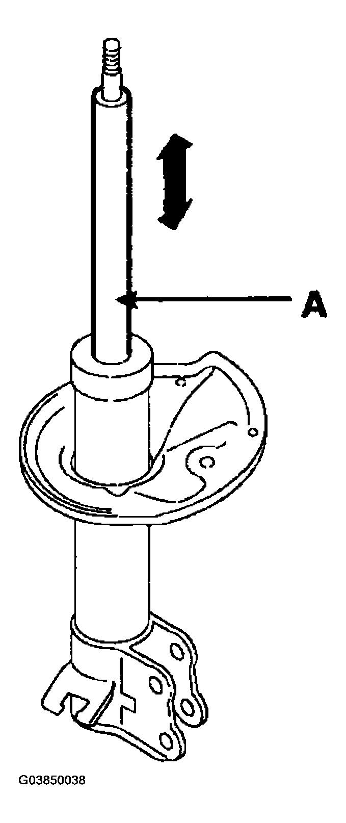 G03850038