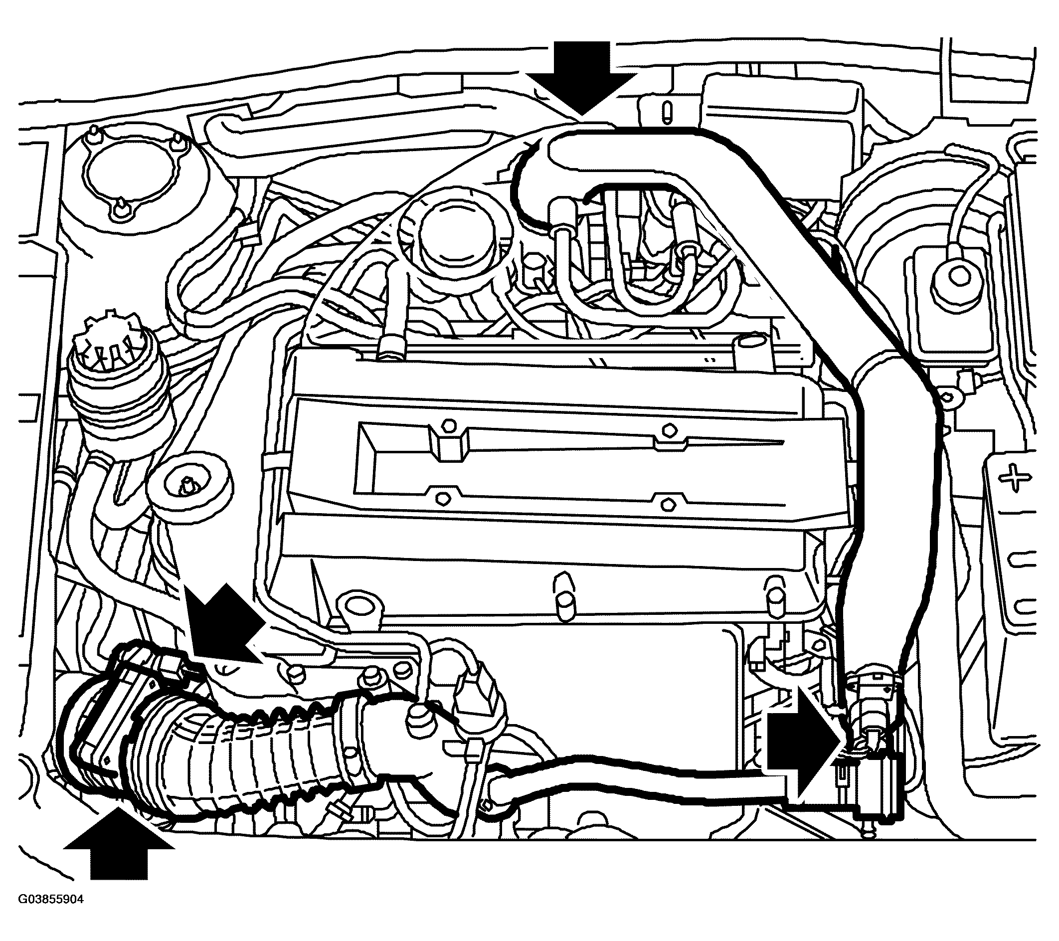 G03855904