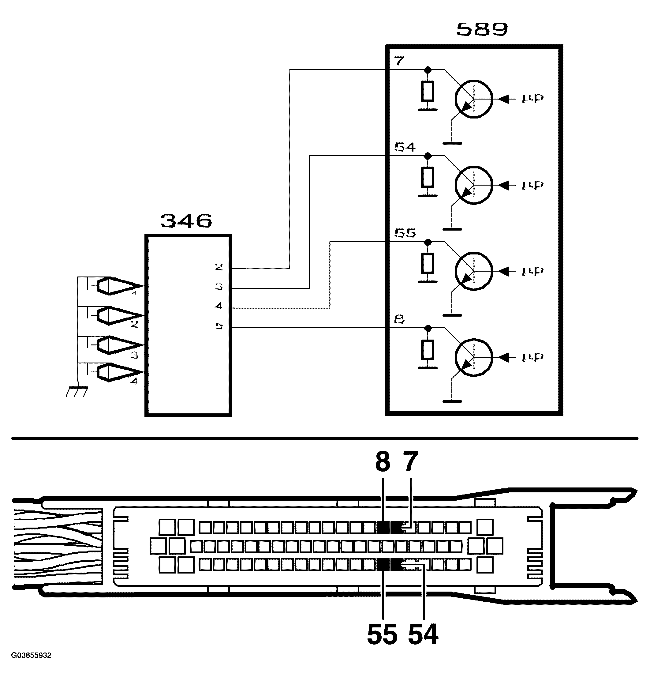 G03855932
