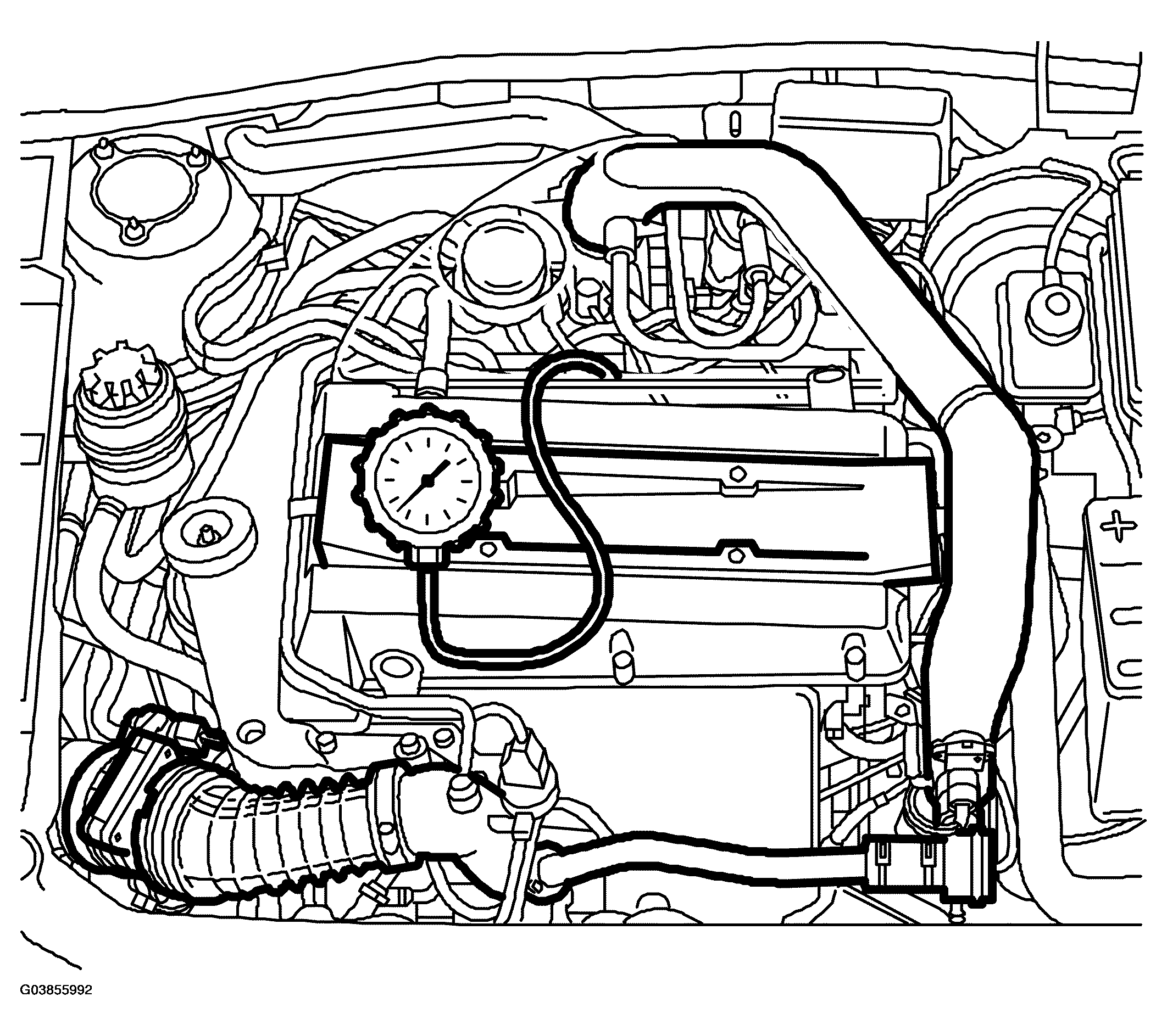 G03855992