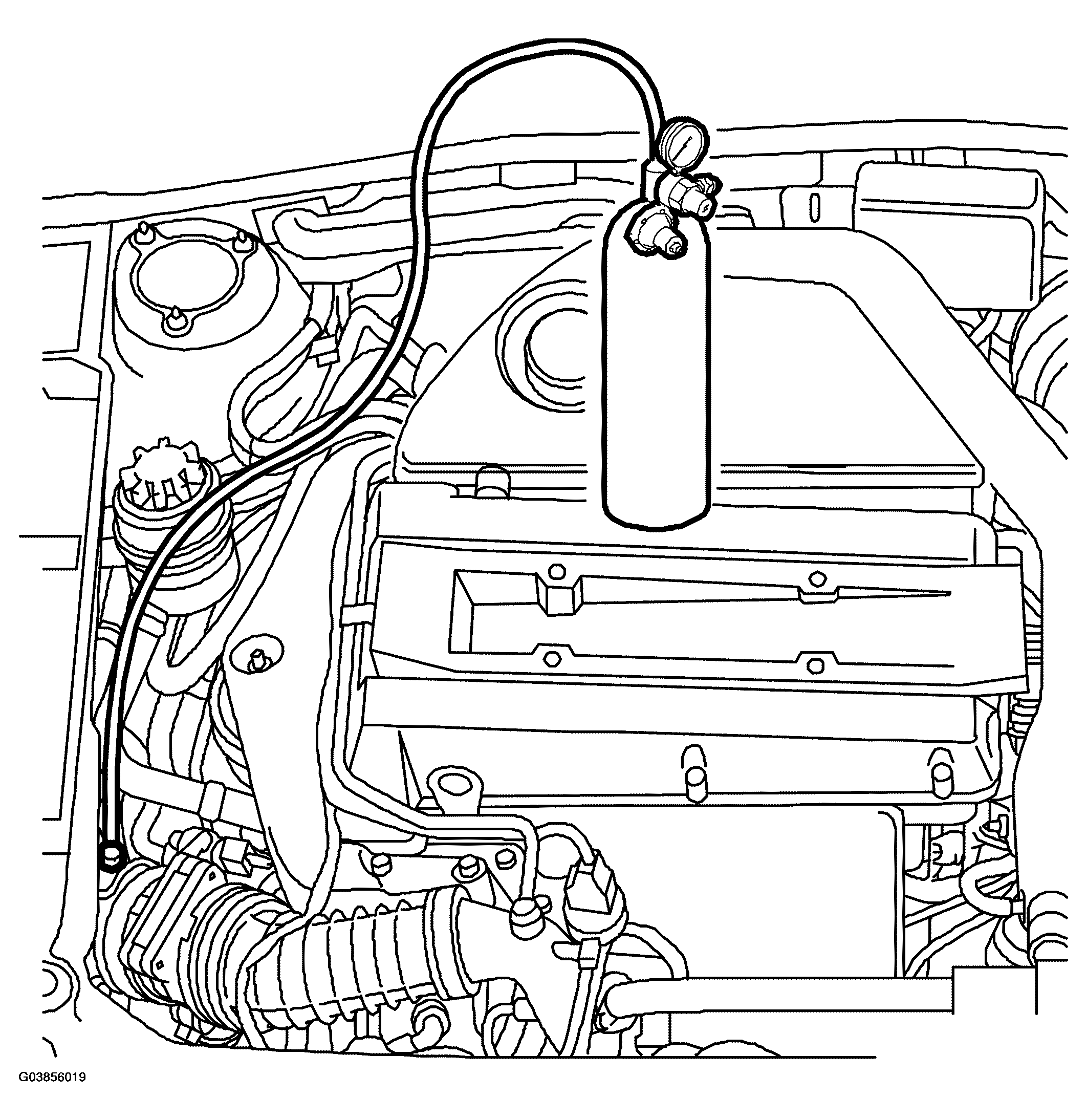 G03856019