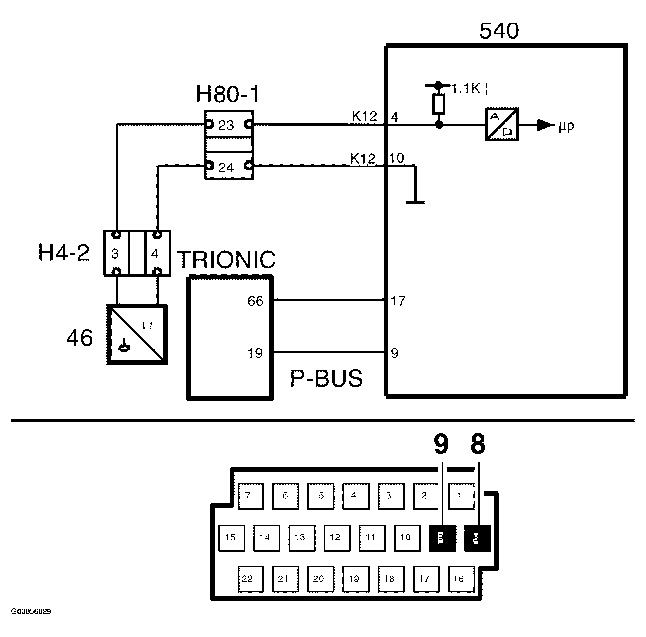 G03856029