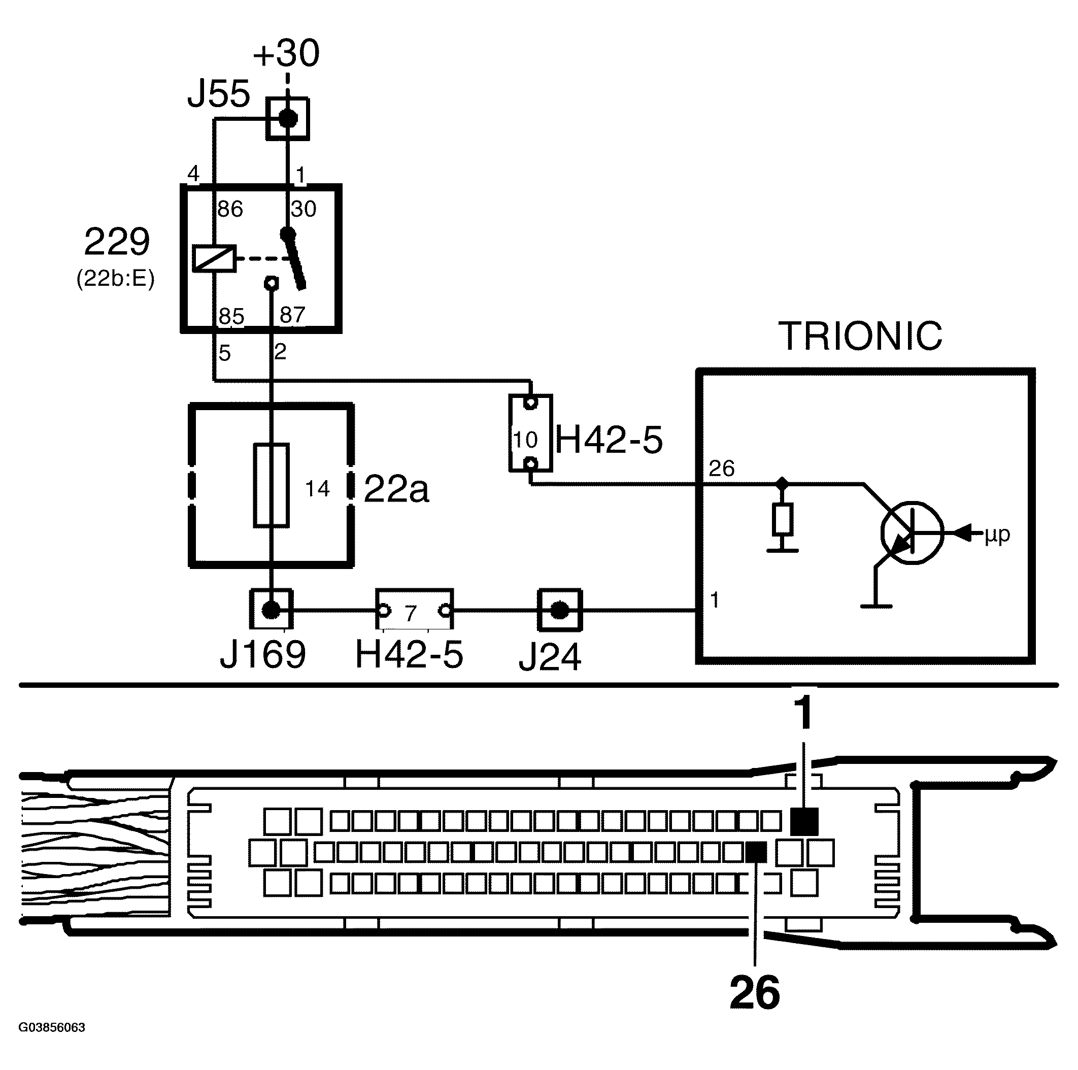 G03856063