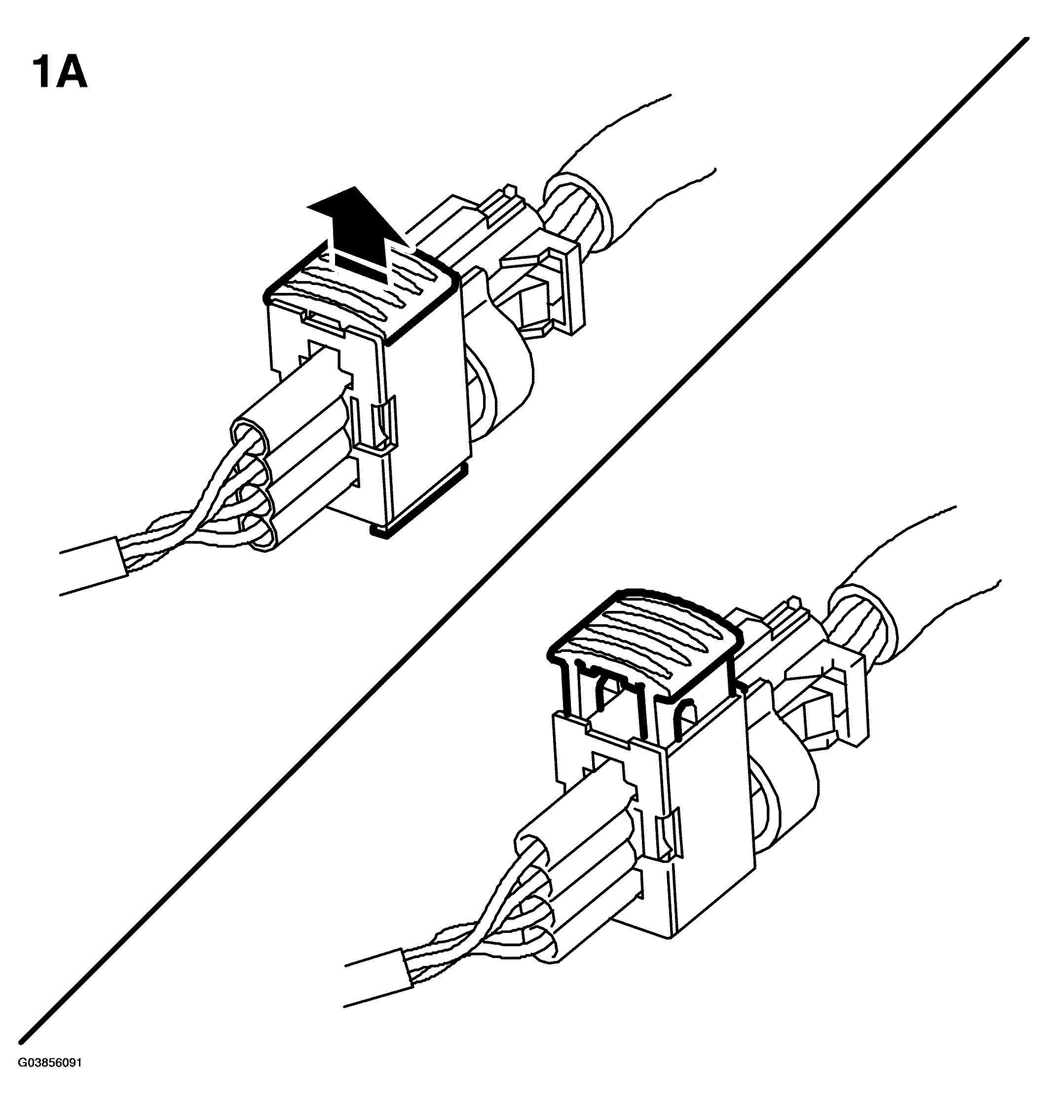 G03856091