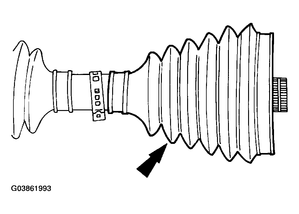 G03861993