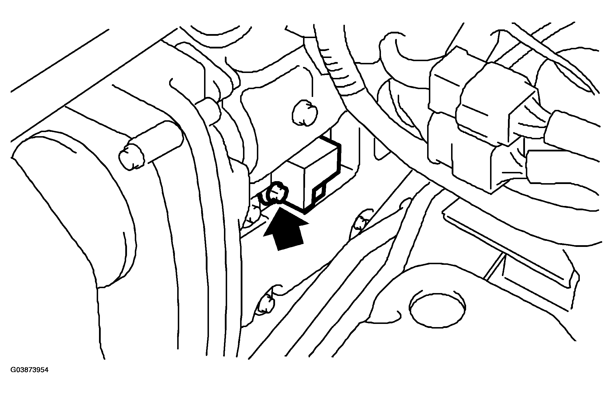 G03873954