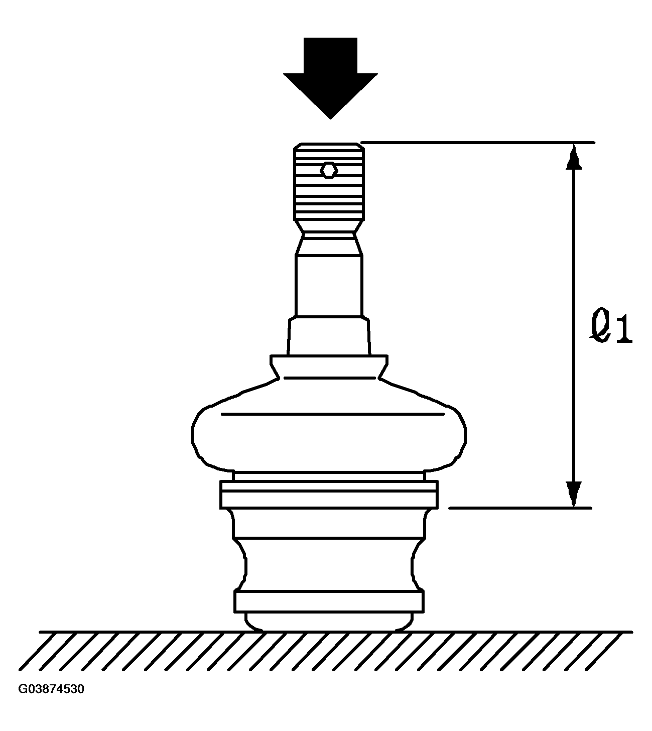 G03874530