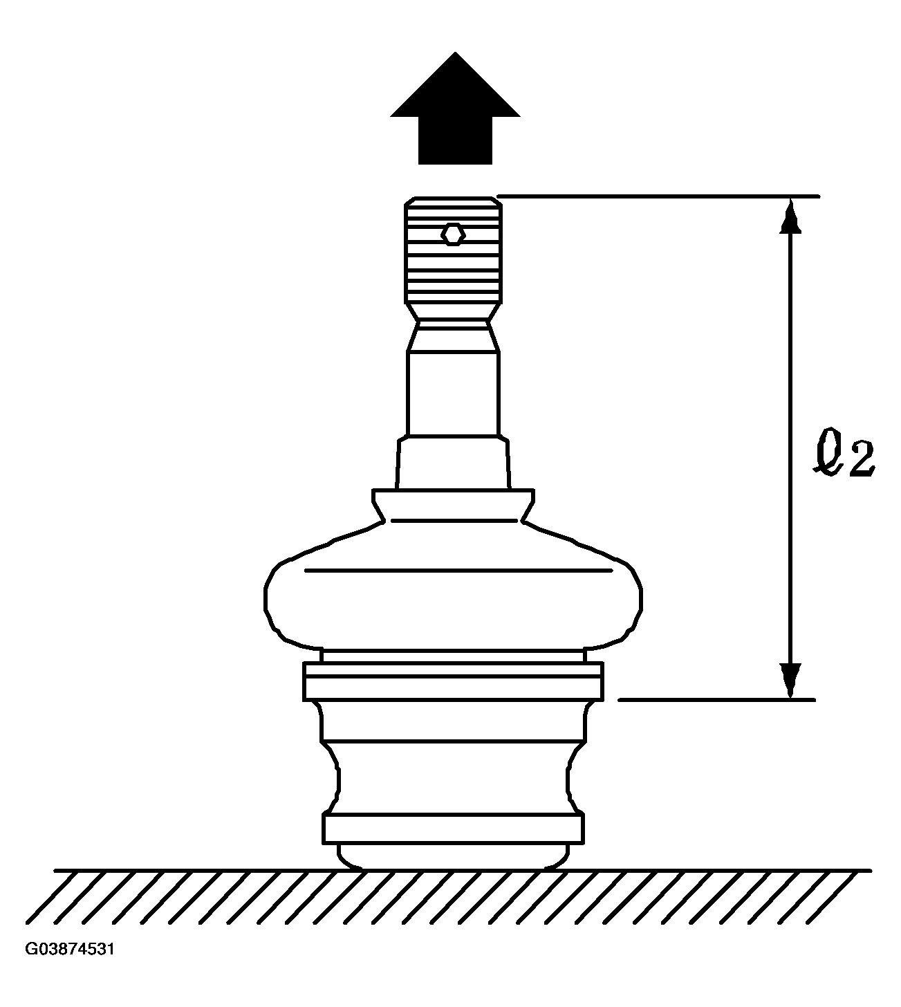 G03874531