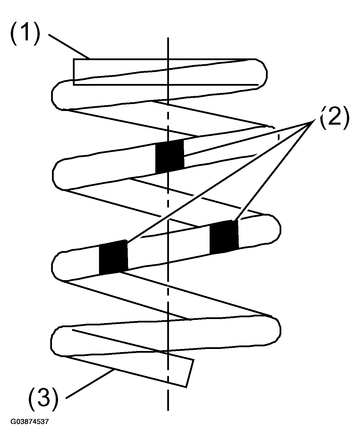 G03874537