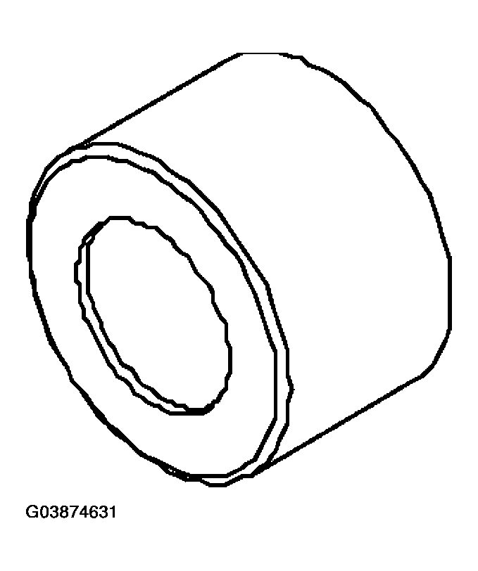 G03874631