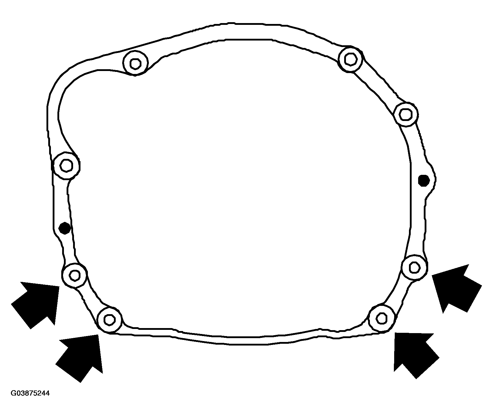 G03875244