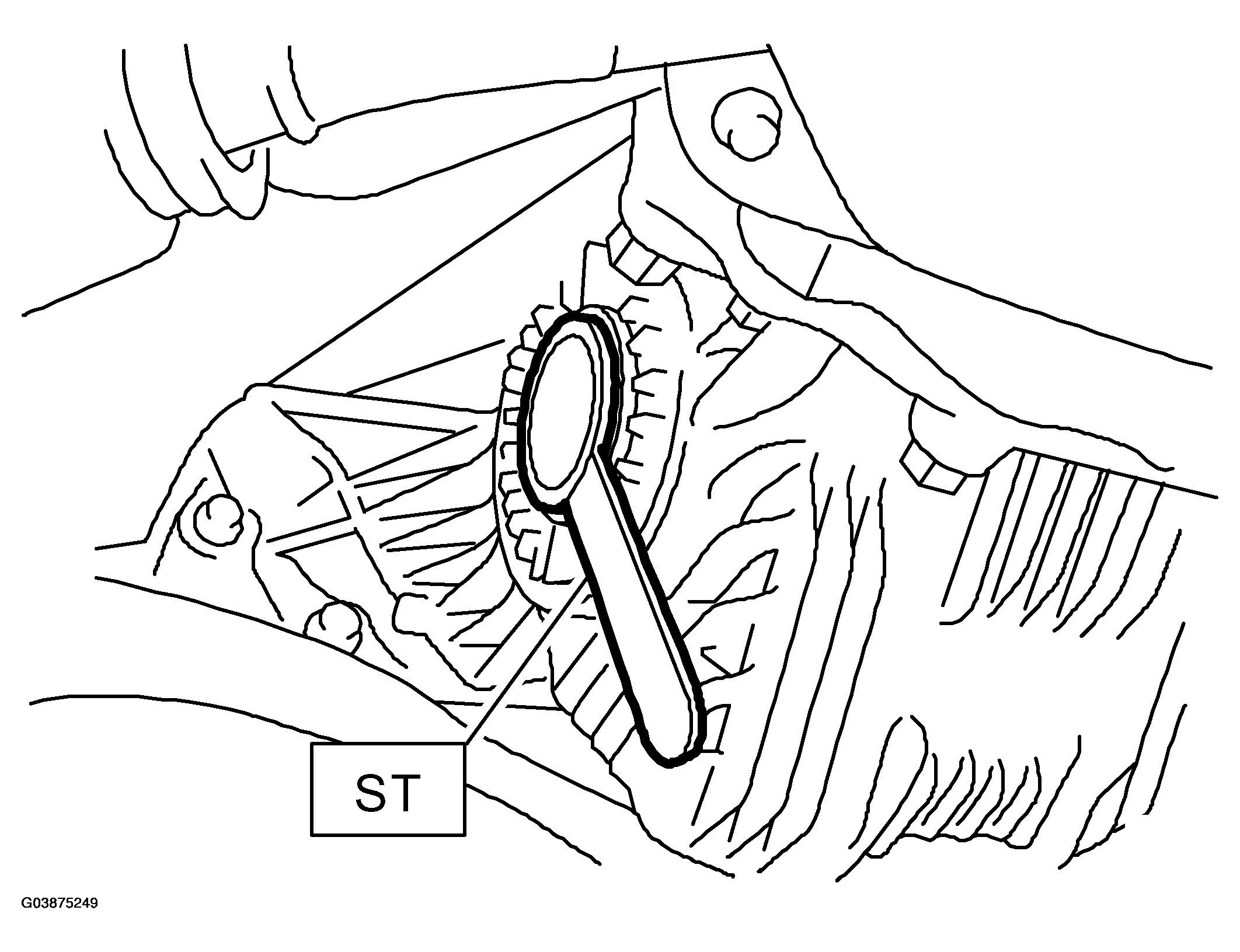 G03875249