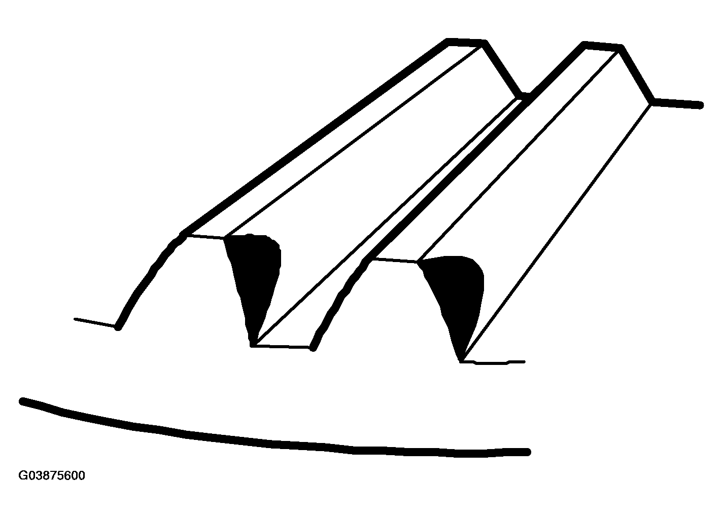 G03875600