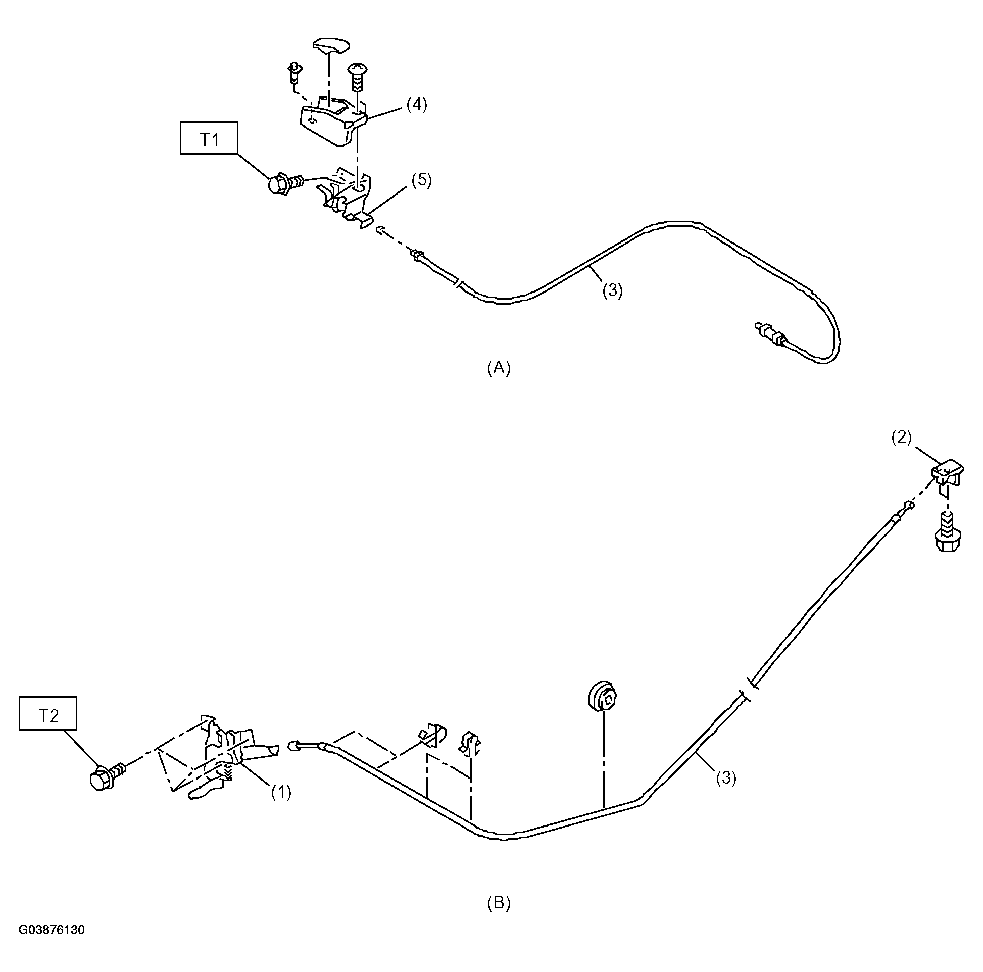 G03876130