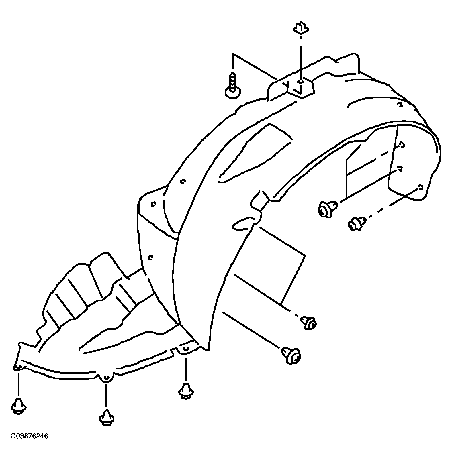G03876246