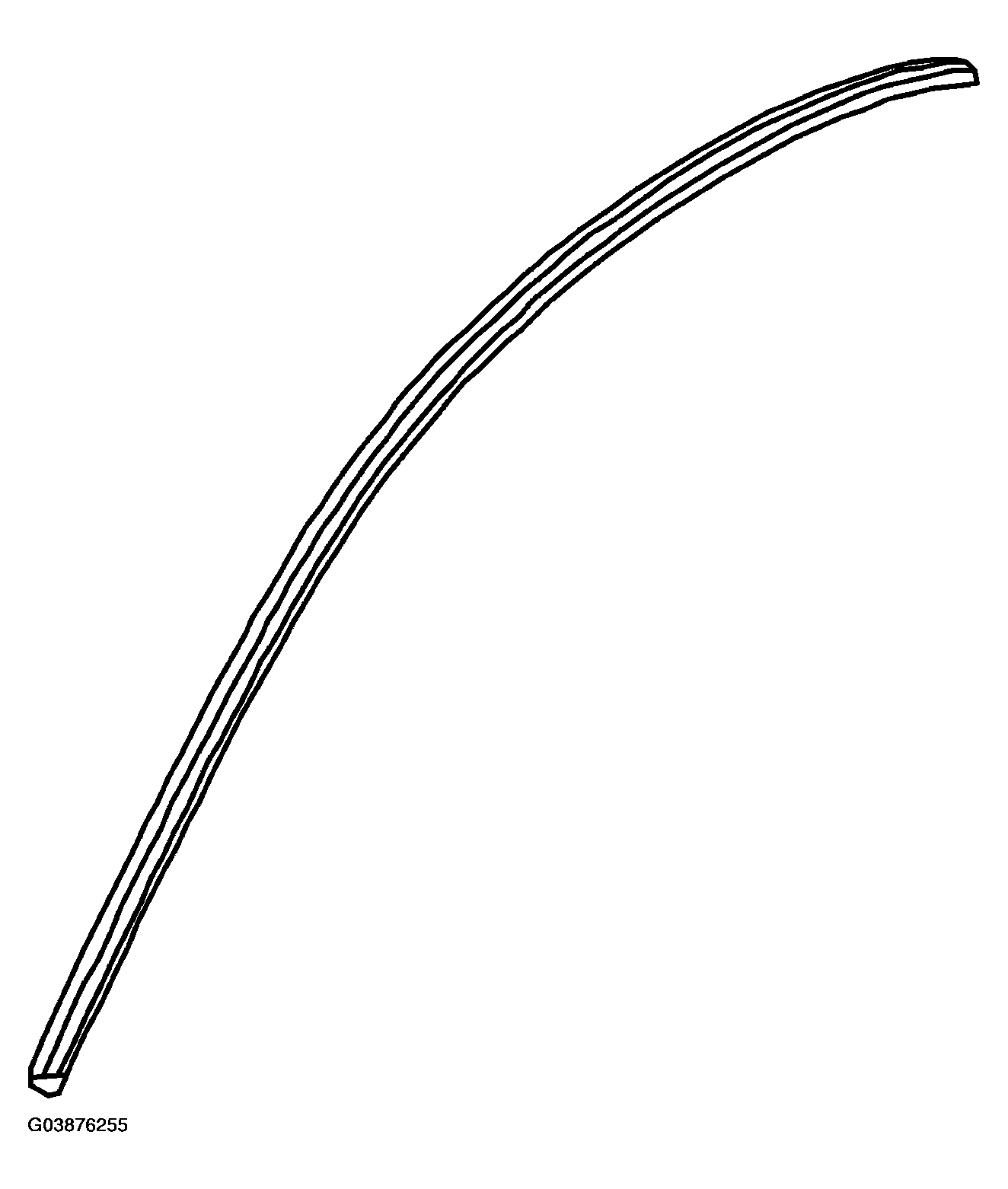 G03876255