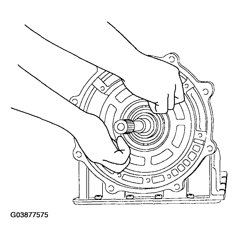 G03877575