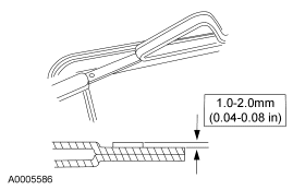 G03880554
