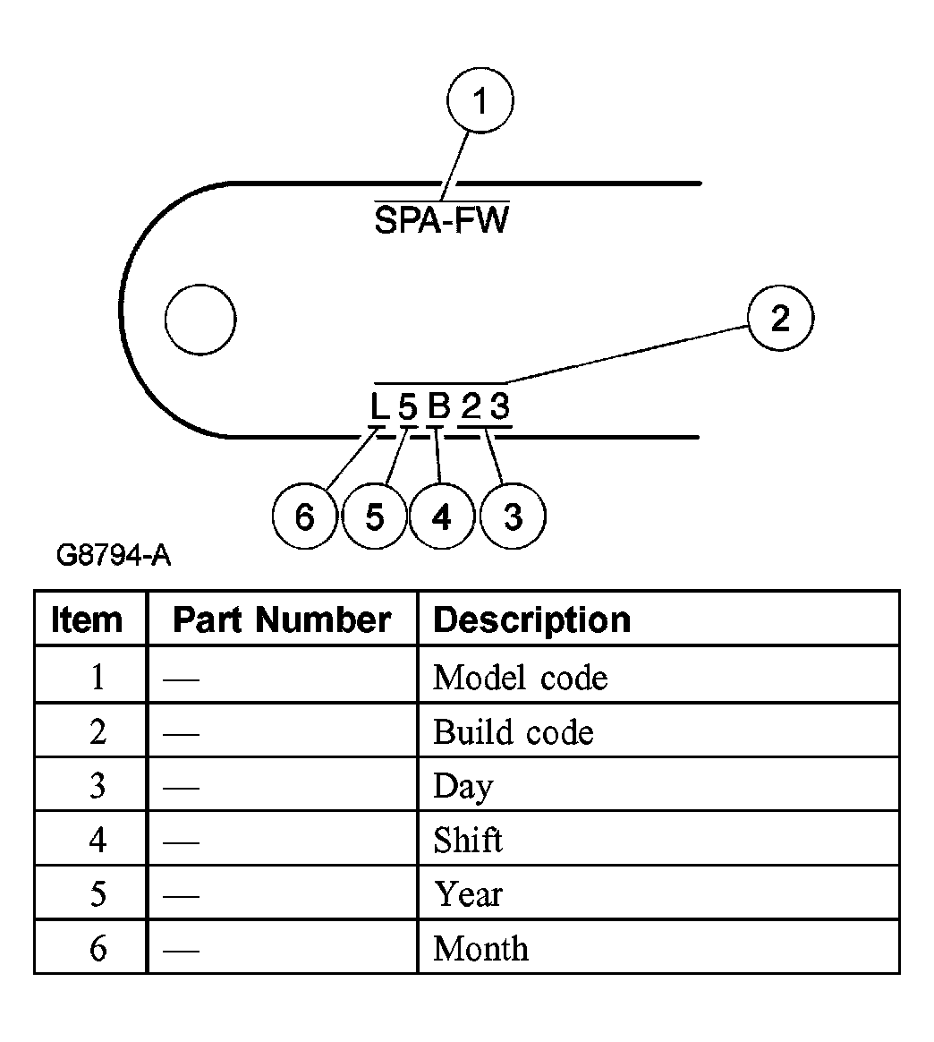 G03904976