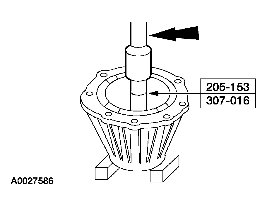 G03909704