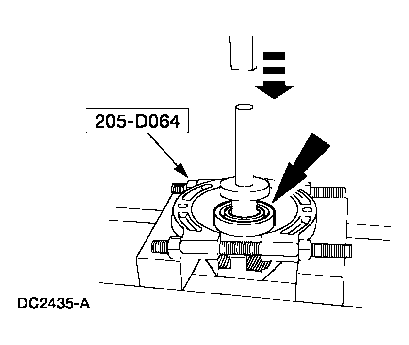 G03915486