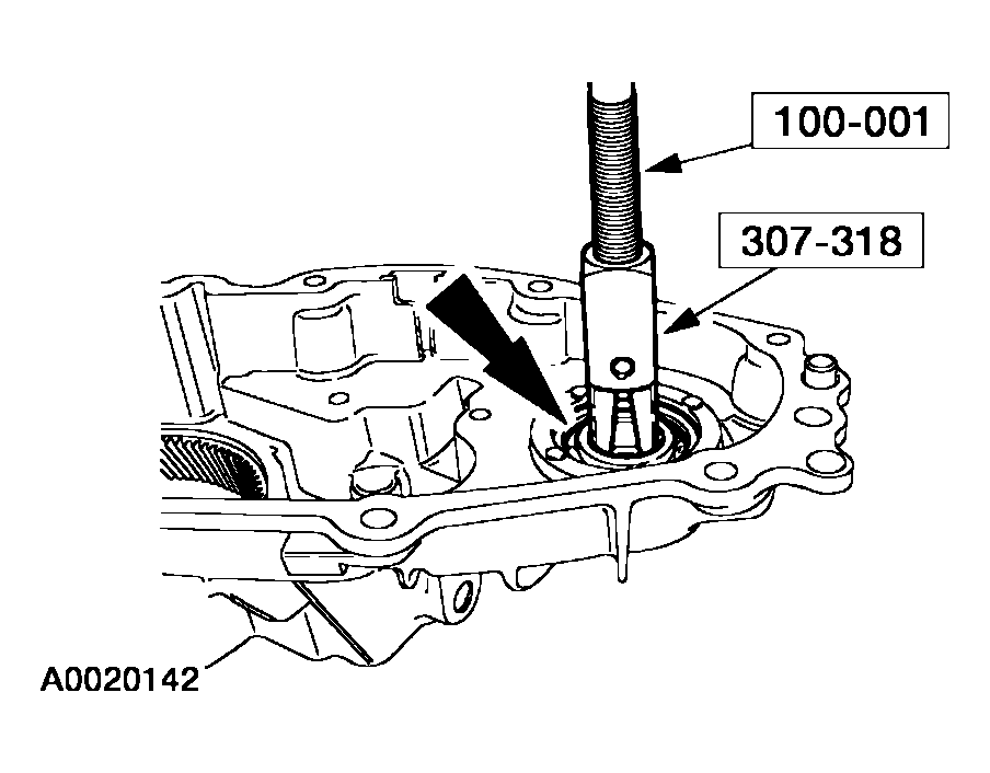 G03915492