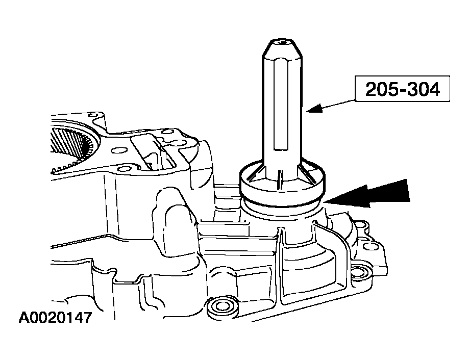 G03915499