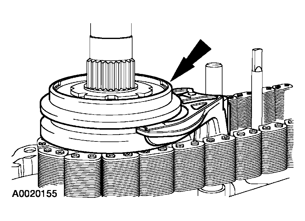 G03915531