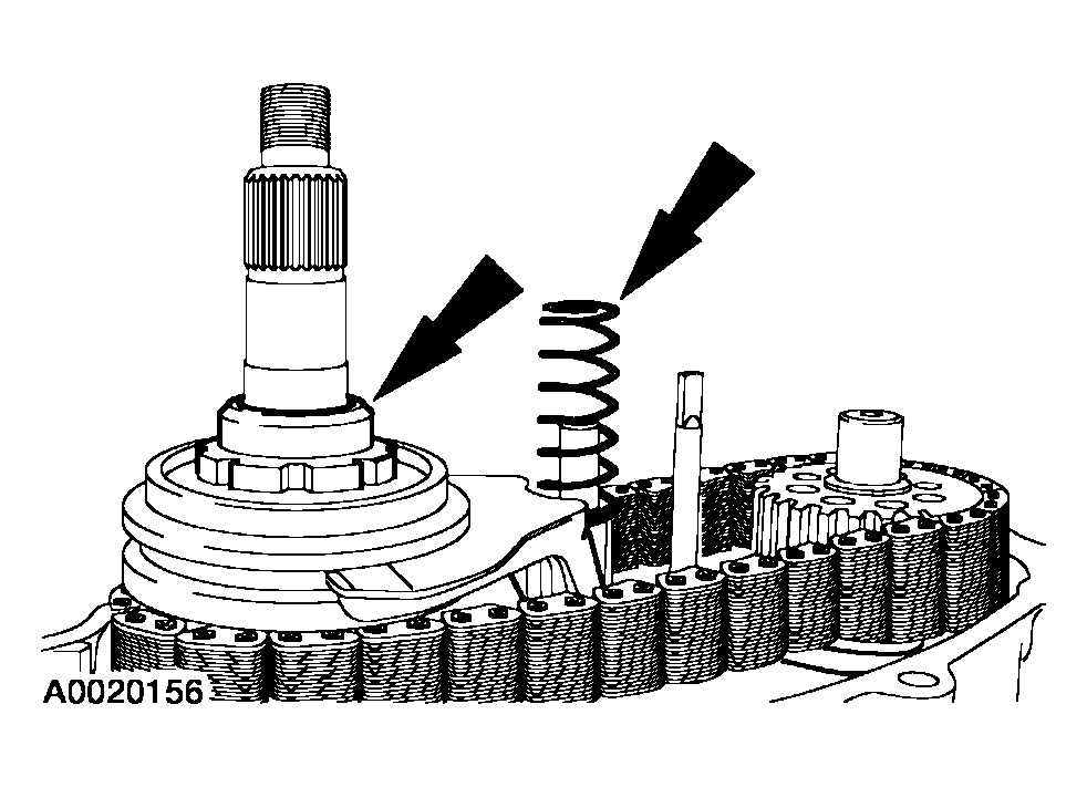G03915534