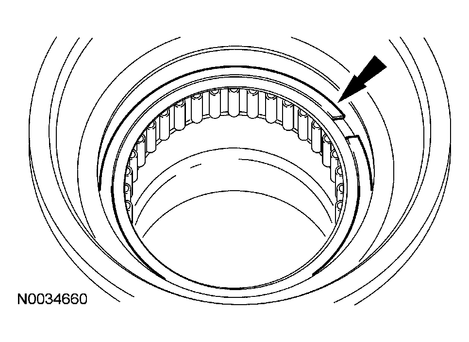 G03929305