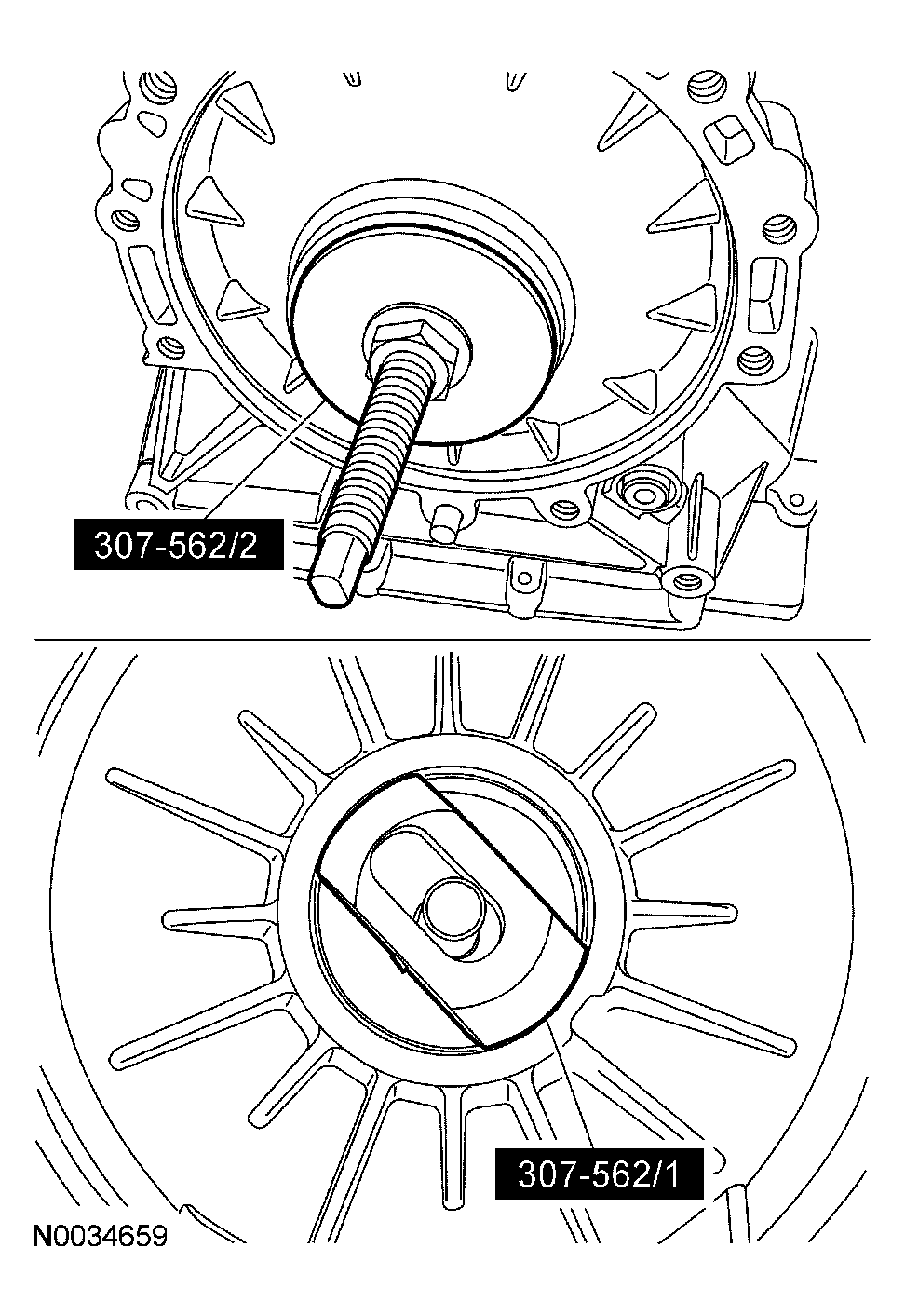 G03929306