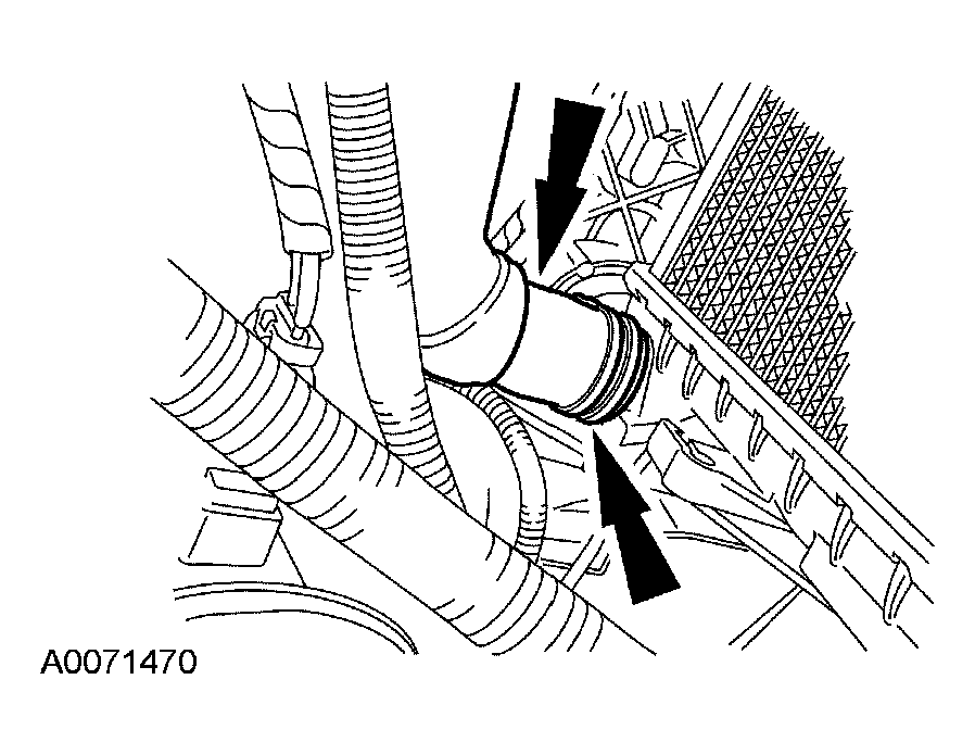 G03951008