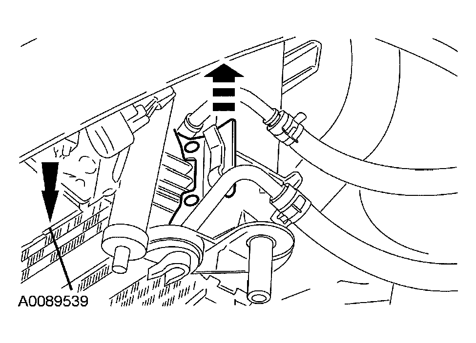G03951013