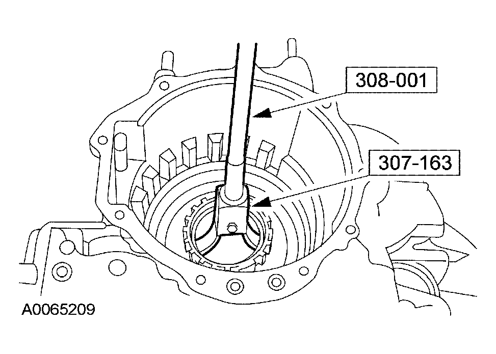 G03951557