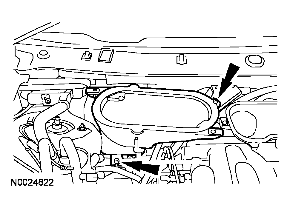 G04003906