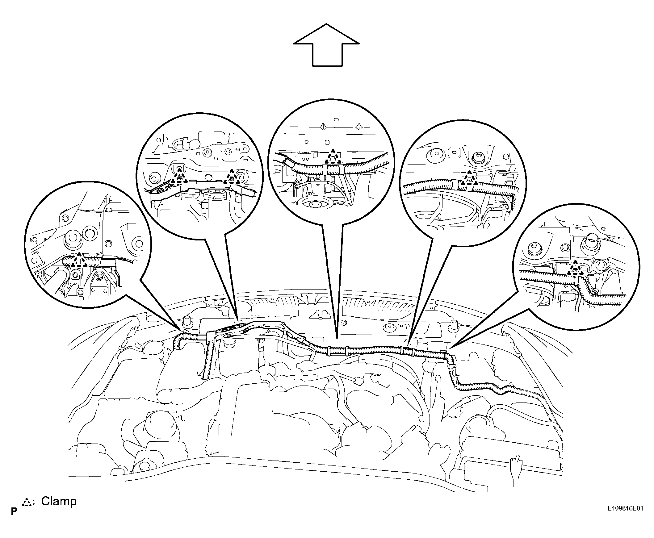 G04020819