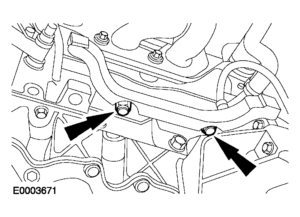 G04033979