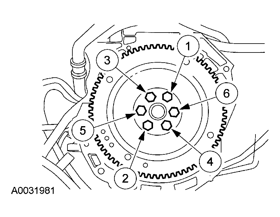 G04035581