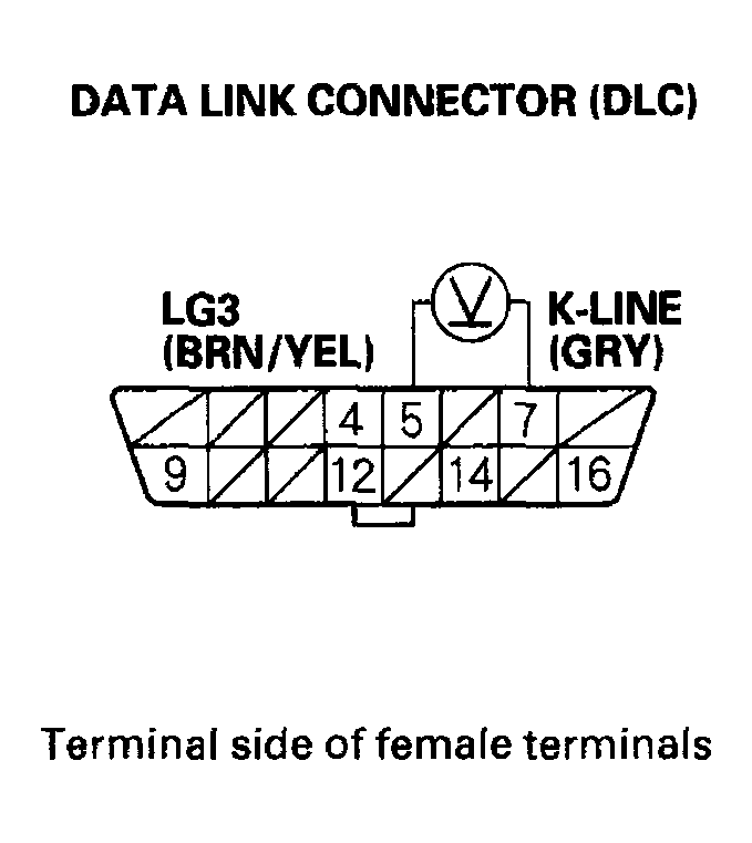 G04546038