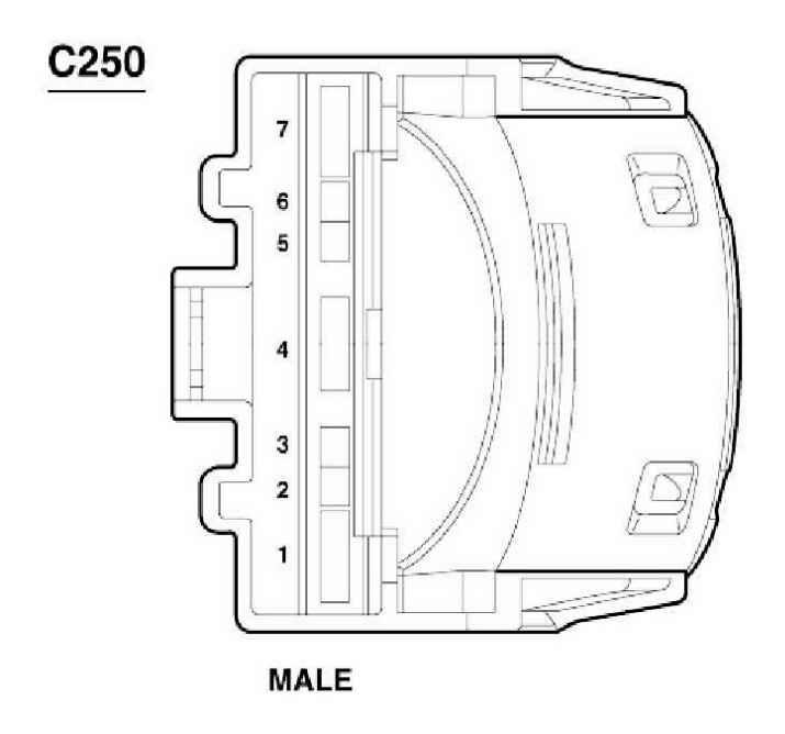 G04597094