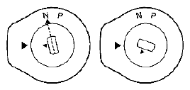 G04845927
