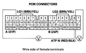 G05495455