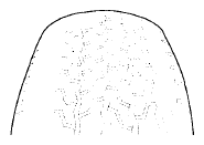 G06102995