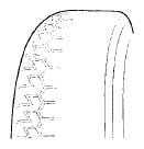 G06102997