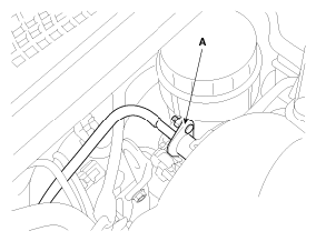 G06407817