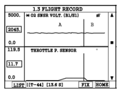 G06415309