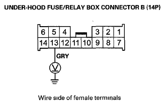 G06422424